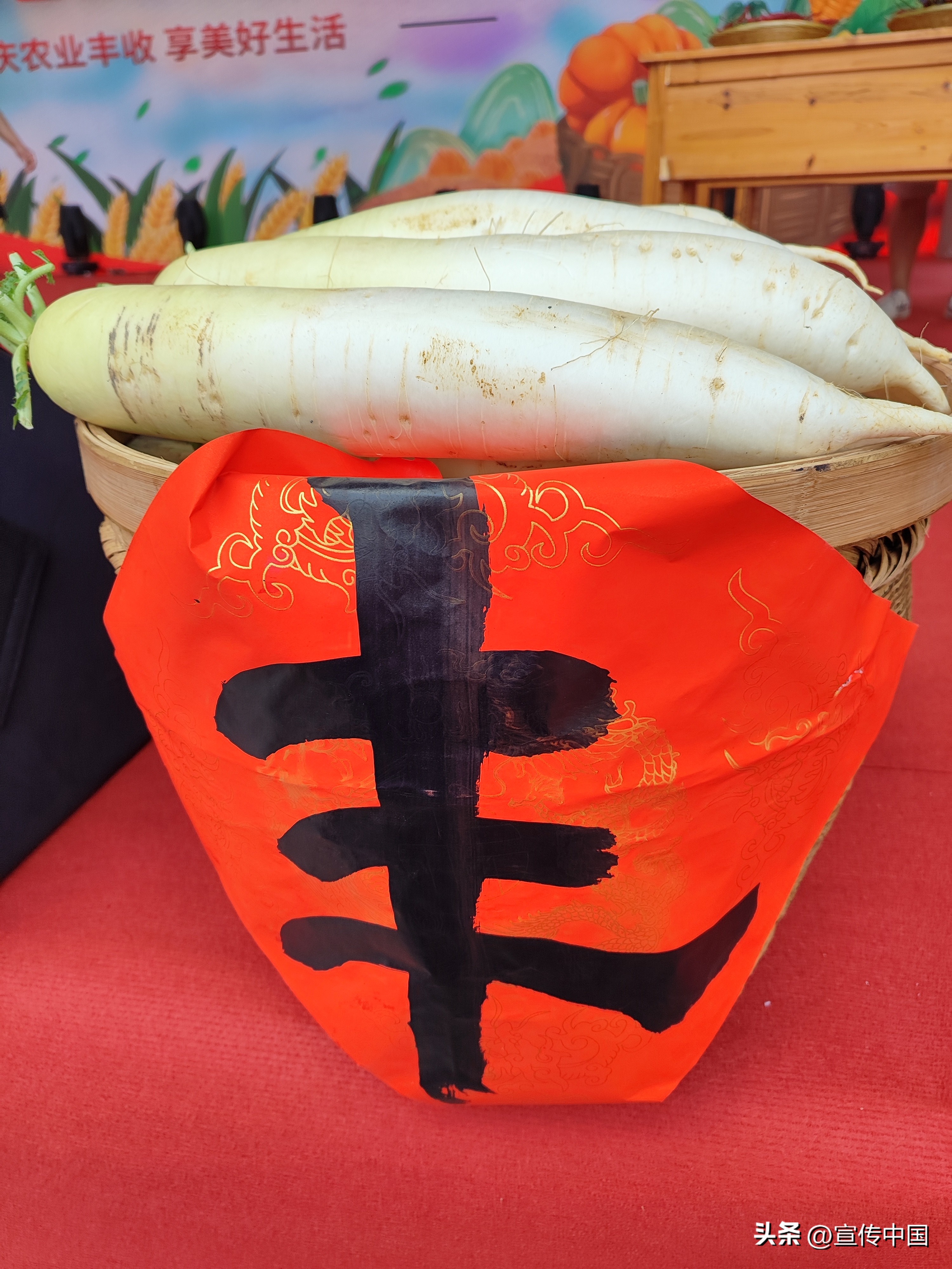 桂林龙胜伟江乡第六届“跳香节”农产品展示。