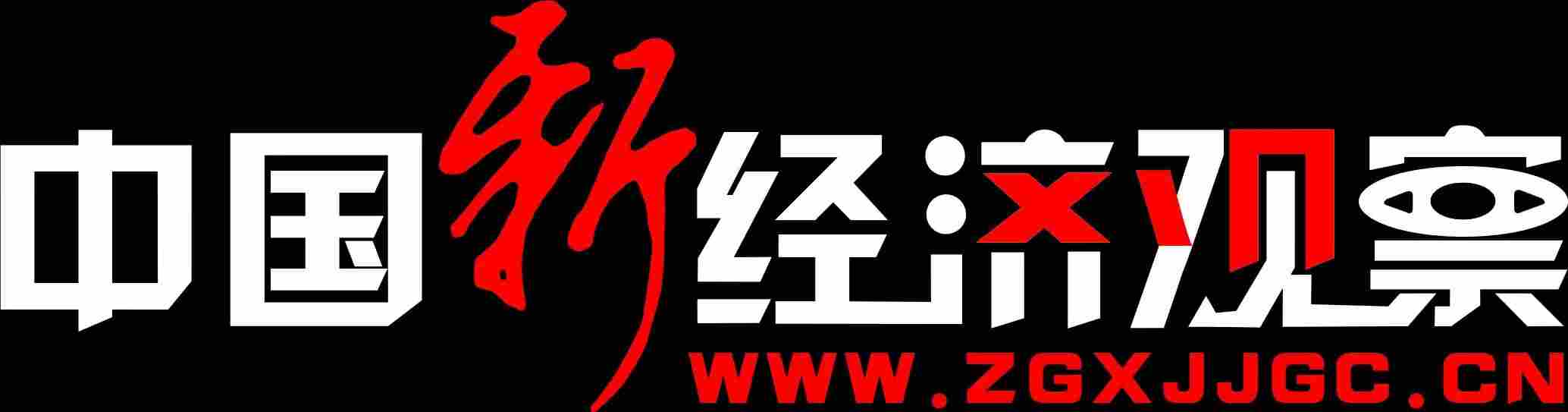 中国新经济观察网
