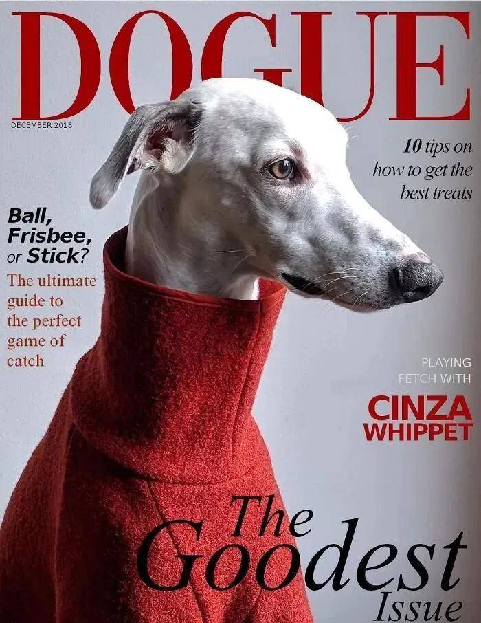 年近四十，二孩妈妈，不骨感不时髦，却成了女魔头接班人 