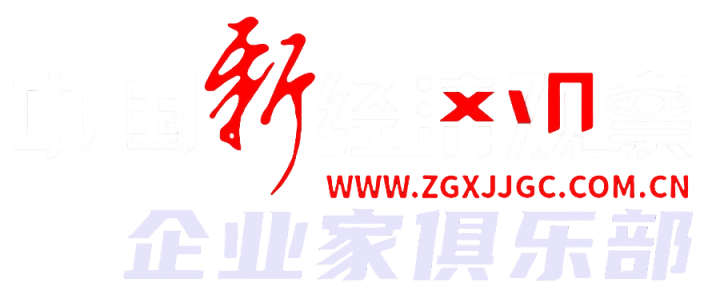 中国新经济观察网